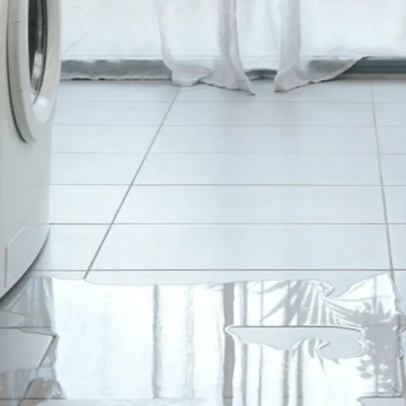 Appliance Leak Cleanup in Hall County, TX