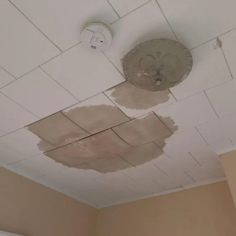 Ceiling Water Damage Repair in Hall County, TX