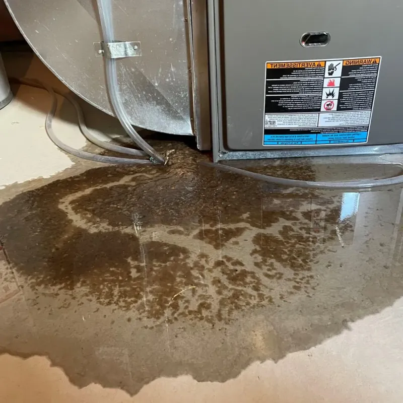 Pipe Burst and Leak Restoration in Hall County, TX