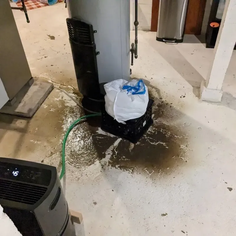 Sewage Backup Cleanup Service in Hall County, TX